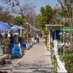 Oak avenue photo new